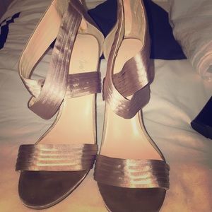 Jacqueline Ferrar Heels